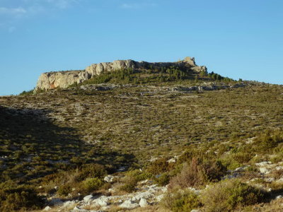 PA231522.jpg