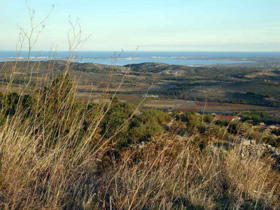 PA231526.jpg