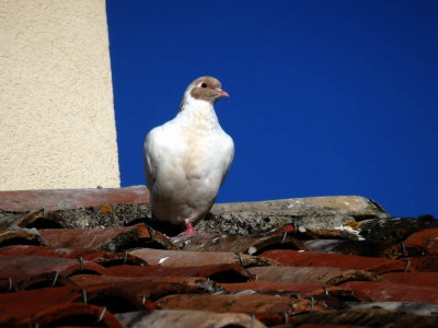 PC270277.jpg