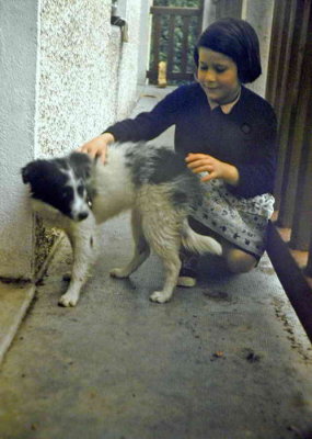  Avec Fanette (ou Fanou), un petit border collie n  Peyrenre