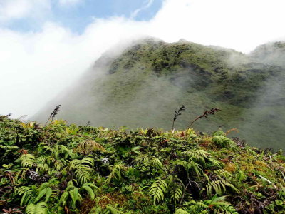 La Montagne Pelée en Martinique