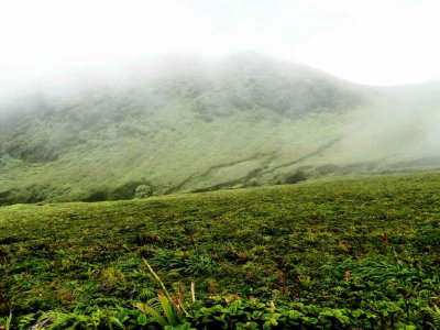 L'immense caldeira de la Pelée
