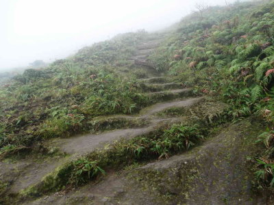 Chemin en escalier taillé dans la roche (andésite ou dacite).
