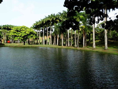 Le lac du parc Clément