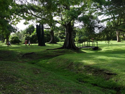 DSC08619.JPG