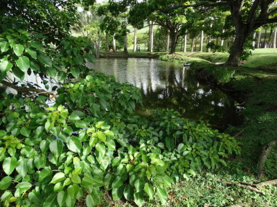 DSC08626.JPG