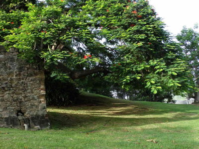 DSC08725.JPG