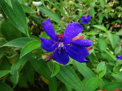DSC07659.jpg