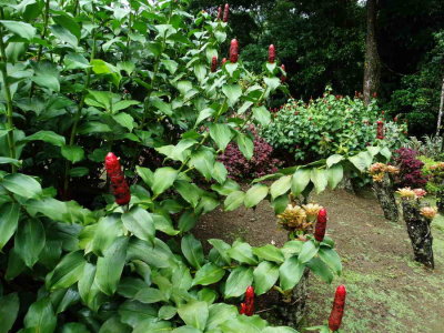 DSC07668.jpg