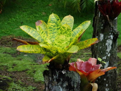 DSC07670.jpg