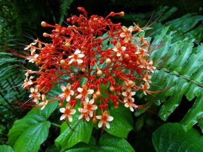 DSC07693.jpg