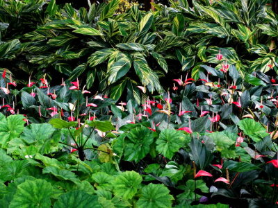DSC07747.jpg