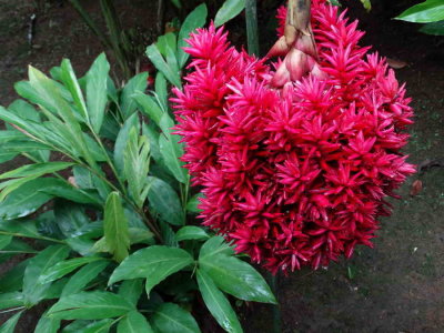 DSC07782.jpg