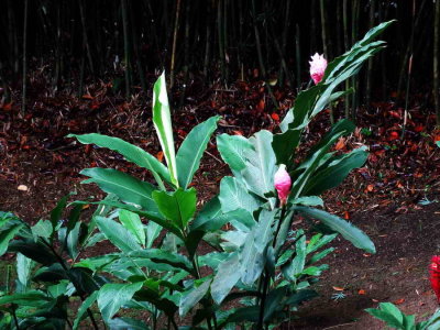 DSC07786.jpg