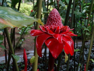 DSC07789.JPG