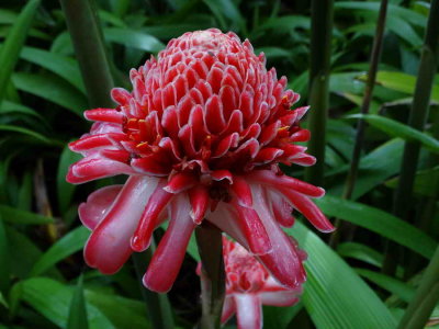 DSC07790.JPG