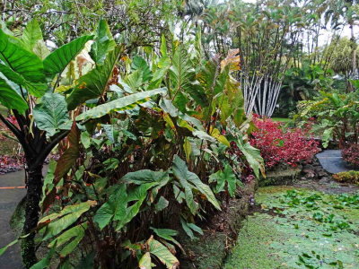 DSC07800.jpg