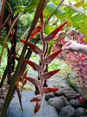 DSC07810.jpg