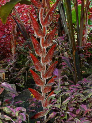 DSC07820.JPG