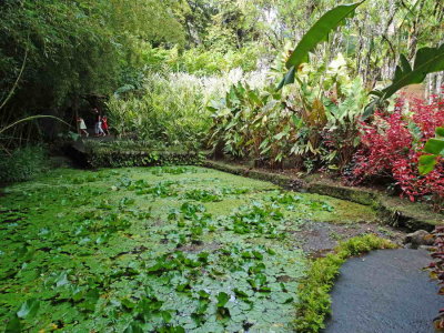 DSC07822.jpg