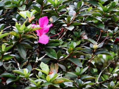 DSC07831.jpg