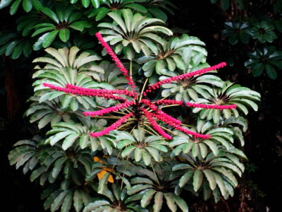DSC07881.jpg