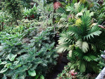 DSC07887.jpg