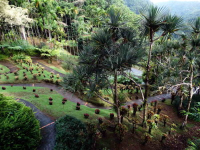 DSC07900.jpg