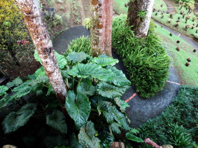 DSC07902.jpg