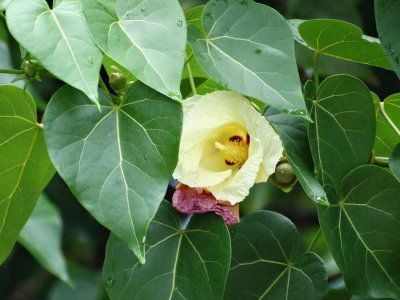 DSC08270.JPG