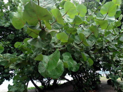 DSC08274.jpg