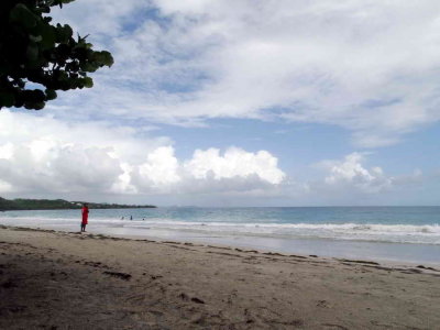 DSC08277.jpg