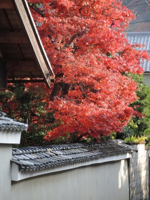 26_Japan 2013, Dec (日本京都_奈良_大阪)