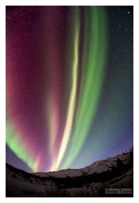 Aurora
