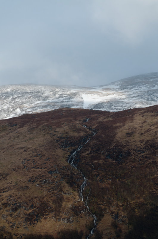 DSC_4203.jpg