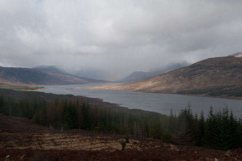 DSC_4254.jpg