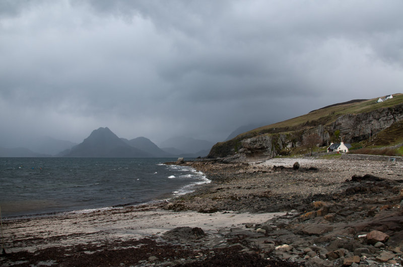 DSC_4358.jpg