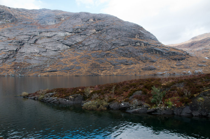 DSC_4513.jpg