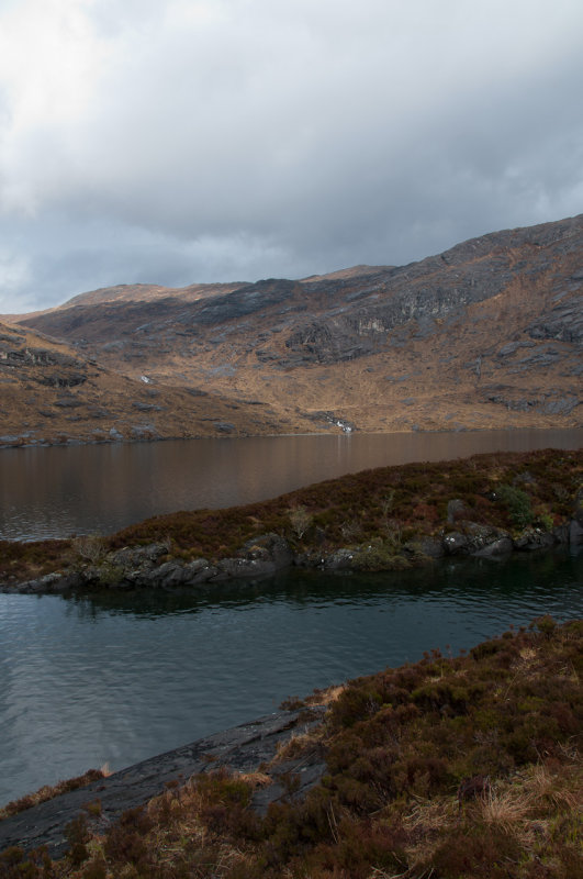 DSC_4515.jpg