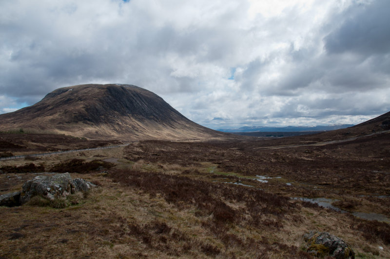 DSC_4704.jpg