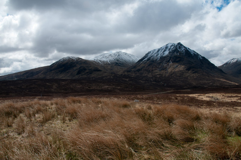 DSC_4714.jpg