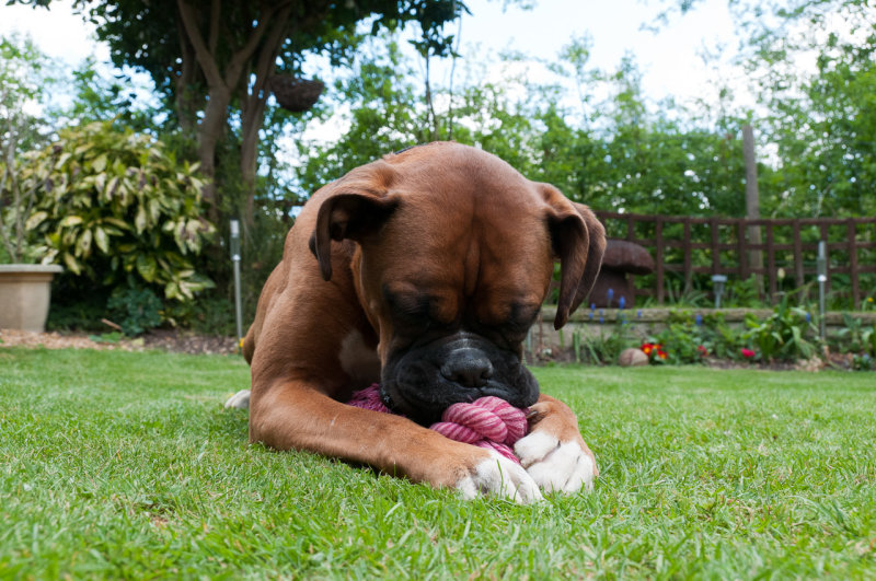 DSC_3741.jpg