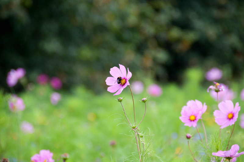 DSC_1244.jpg