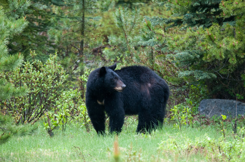 DSC_7477.jpg