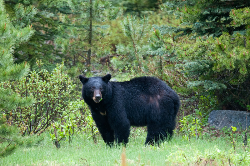 DSC_7482.jpg