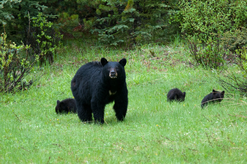 DSC_7663.jpg