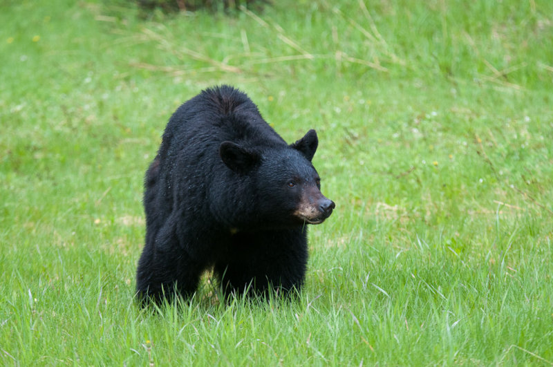DSC_7714.jpg
