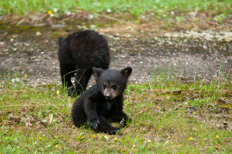 DSC_7969.jpg