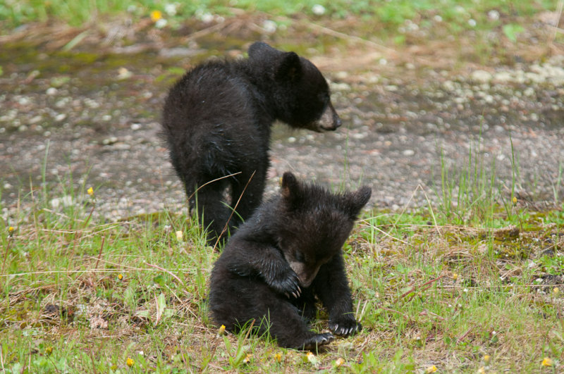 DSC_7974.jpg