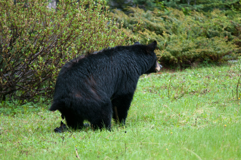 DSC_8297.jpg